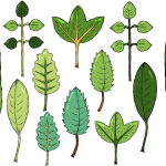 BG真人太鼓达人数据迁移版-BG真人太鼓达人官方网站APP登录下载IOS/苹果/安卓最新版